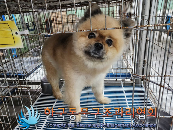 한국동물구조관리협회_411304202300577
